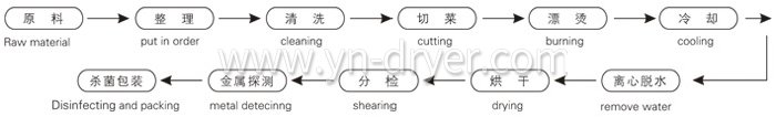 Dryer for Vegetable Dehydration Dryer for Vegetable Dehydration